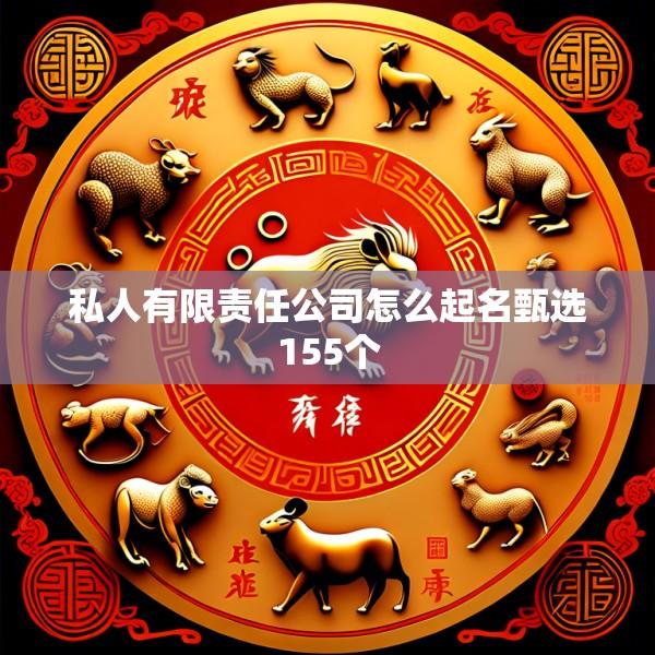 私人有限责任公司怎么起名甄选155个