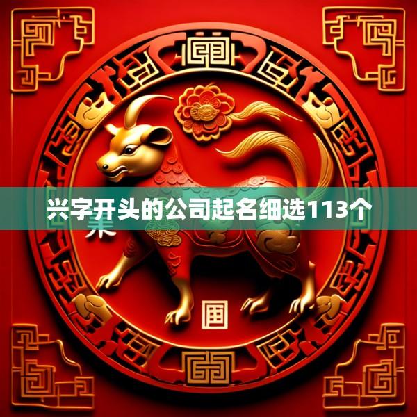 兴字开头的公司起名细选113个
